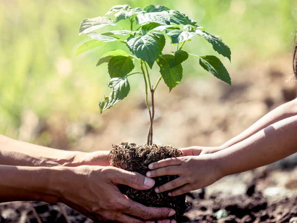 VM Building Solutions milieubewust - environnement
